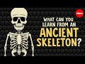 What can you learn from ancient skeletons? - Farnaz Khatibi