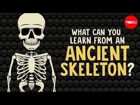 Thumbnail for the embedded element "What can you learn from ancient skeletons? - Farnaz Khatibi"