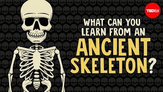 What can you learn from ancient skeletons? - Farnaz Khatibi