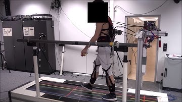 Exoskeleton simulator used to manipulate the hip during treadmill walking