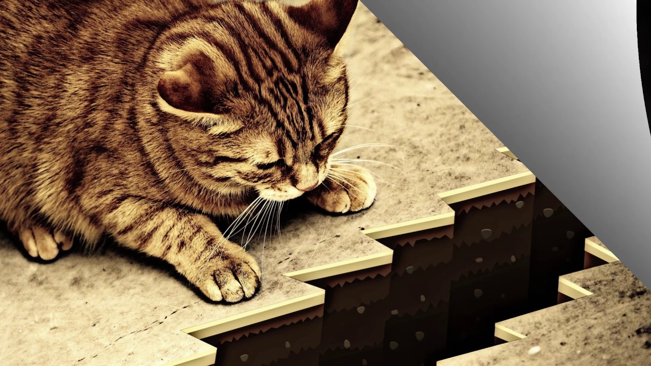 CLÉ #2 - DIDACTIQUE-S : c'est quoi ?