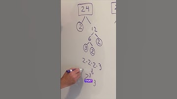 Prime Factorization of 24
