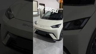 #bydesign #bydseagull #costarica #vehículoeléctrico