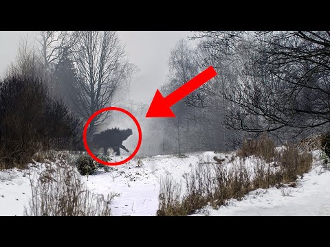 10 Creepiest Recent Monster Discoveries!