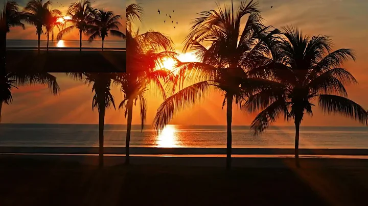 Enjoy the  view!