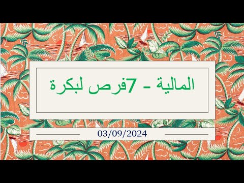 المالية 7فرص لبكرة 03 09 2024