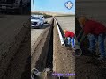 農地に溝を掘って灌漑プラスチックパイプを設置する