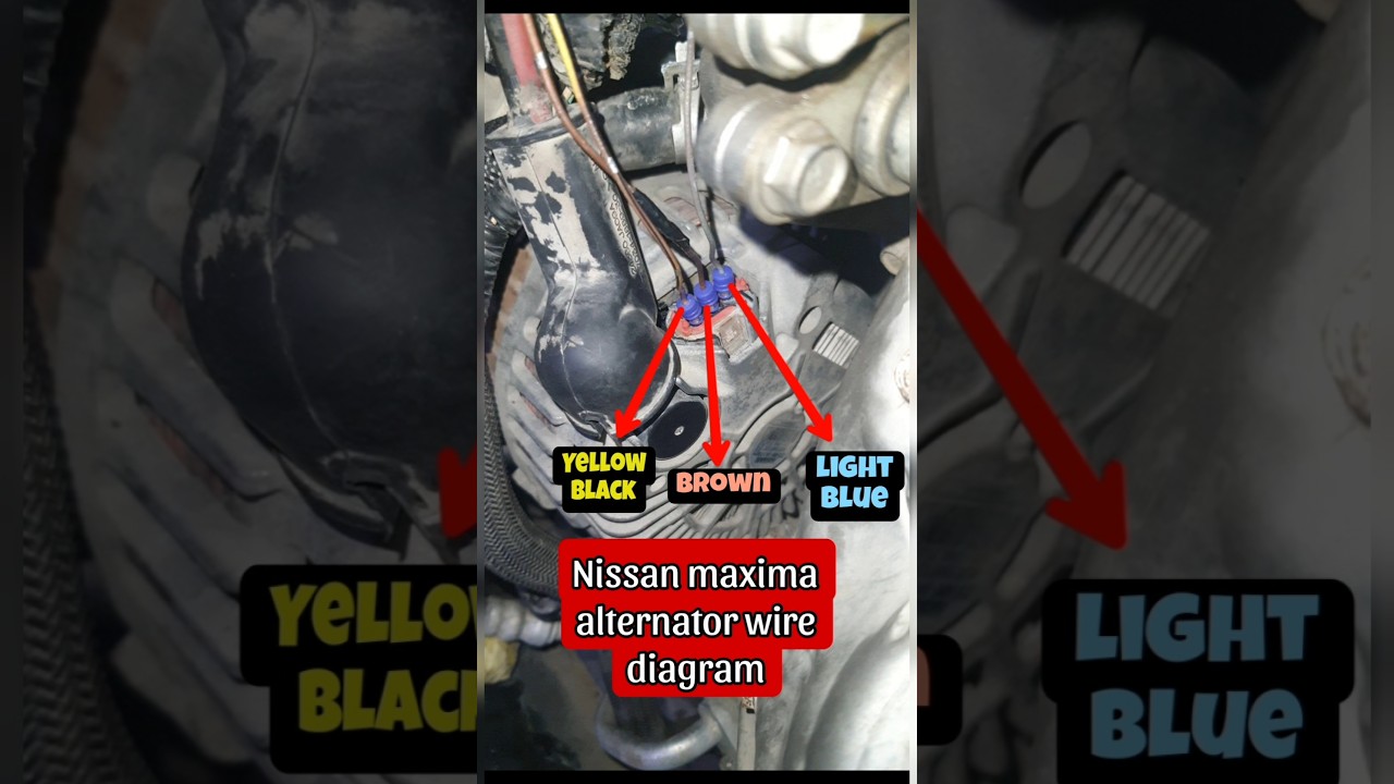Nissan alternator wire diagram.