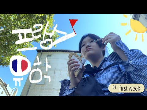 오자마자 비행기 놓친 유학생 브이로그