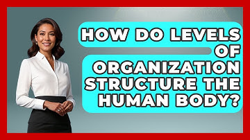 How Do Levels Of Organization Structure The Human Body? - All About Anatomy Answers
