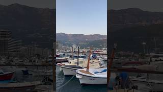 Boats #budva #montenegro #shorts