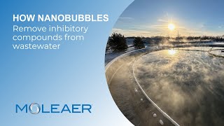 Nanobubbles' Remarkable Power in Inactivating Inhibitory Compounds in Wastewater Treatment