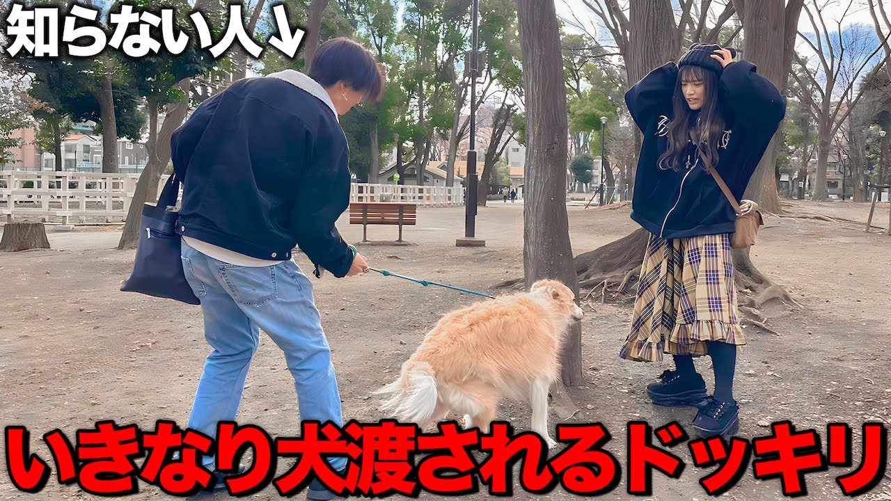 電話中にいきなり知らない人から犬を渡されるドッキリが怖すぎた・・・