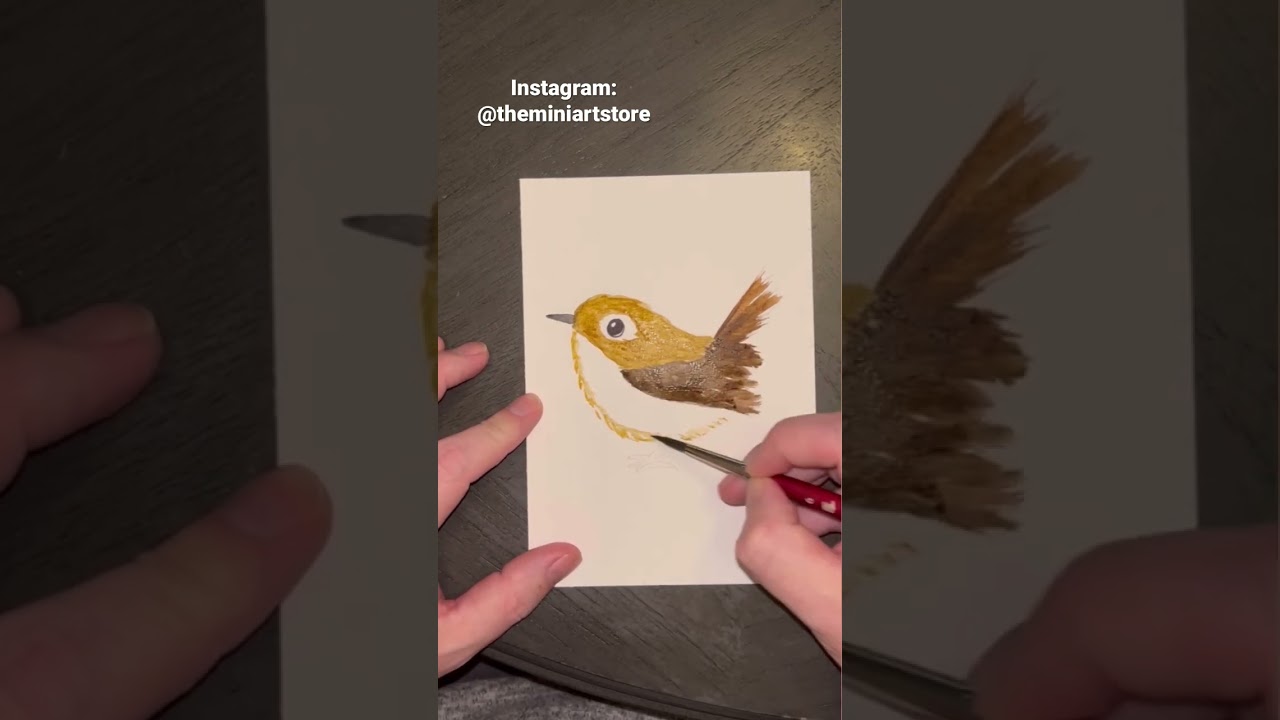 Miniature watercolor painting wren.  