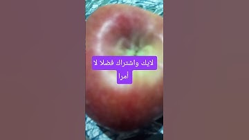 تلاوة ماشاء الله تبارك الرحمان