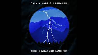 Calvin Harris x Rihanna - This Is What You Came For (Denis First Remix) REVERB EDIT 