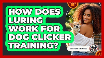How Does Luring Work For Dog Clicker Training? - Obedient Dog Guide