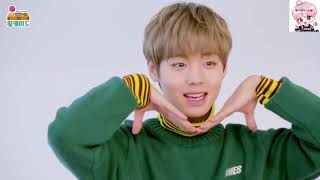 [INDOSUB] PARK JIHOON♥️MASITA♥️WINK ARCADE LV.5