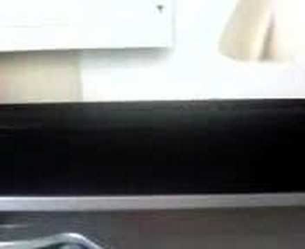 A bug inside my LCD monitor