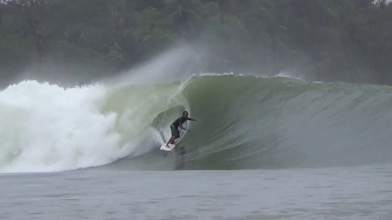 Fernando Esteves 2015/2016