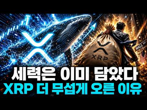 리플 XRP가 더 무섭게 오르는 진짜 이유