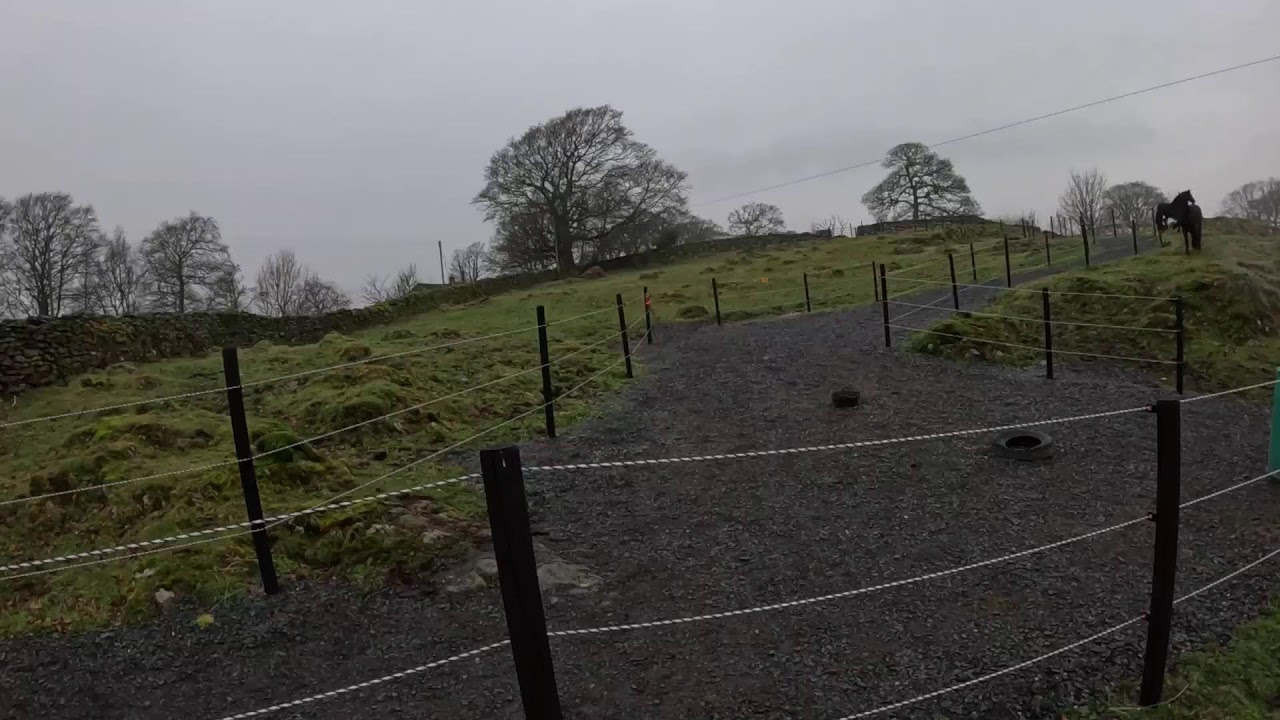 Nero 🌈 & Oebe 🦙 cam