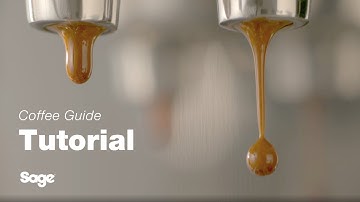 The Bambino® | A complete extraction guide for a perfectly balanced espresso | Sage Appliances UK