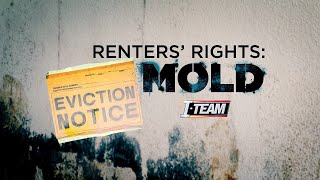 Renters’ Rights - What To Do If You Have Mold Where You Live - Check Your Local Laws