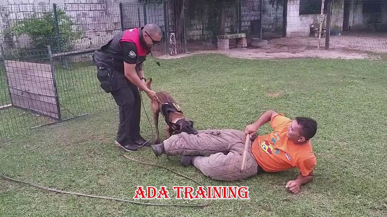 Treino de proteção no hotel Ada Training