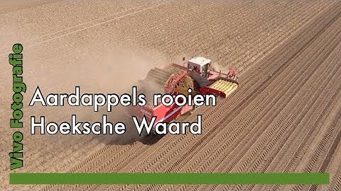 Aardappels rooien Hoeksche Waard 2020