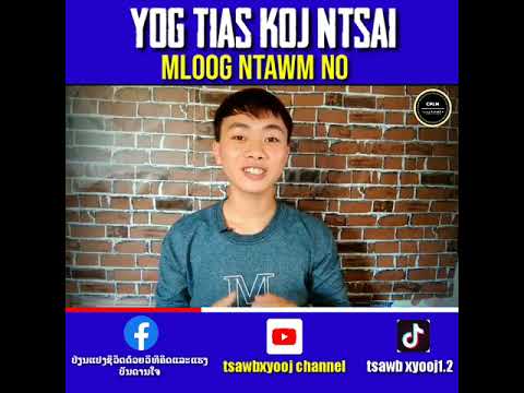 Video: Dab Tsi Yog Hedgehogs Ntshai Ntawm?