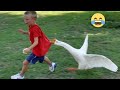 Best Funny Videos  - Funny Compilation Happen Unexpectedly 😆😂🤣#217
