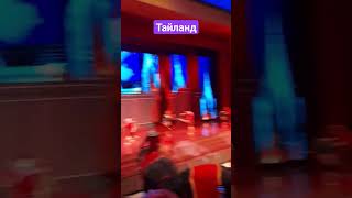 #тайланд #паттайя2023 #сад мадам Нонг Нуч #шоу #слоны