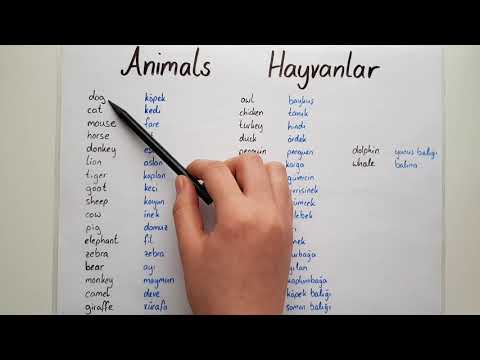 Ingilizce Hayvanlar- ANIMALS