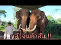 เมื่อสองหนุ่มหล่อเจอกัน 🐘ใครกันนะ.. 🤔⁉️