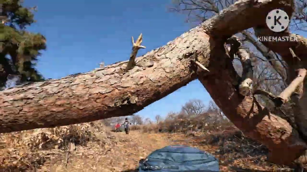 시흥 e-MTB  구정연휴 라이딩/시흥 늠내길