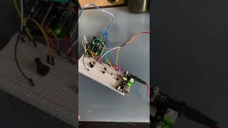 Famous Junior Design - Arduino Project 1 Net Worth