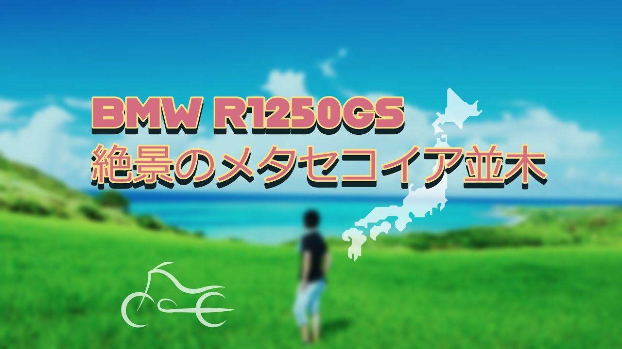 【BMW R1250GS 】琵琶湖の　メタセコイア並木　に初めて行ってきました！新緑の香り満載で素敵すぎでした！