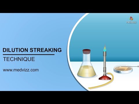 Dilution Streaking Technique : Microbiology Animations