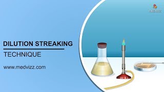 Dilution Streaking Technique : Microbiology Animations