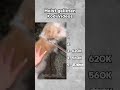 Top 5 Kodi Momente Ytshorts Memes Kodi Top 5 Kodi Momente Ytshorts Memes Kodi