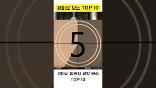 강아지에게 위험한  음식 TOP 10 #소고기 #유제품…