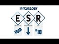ESR (Erythrocyte Sedimentation Rate) | Pharmacy Technician Lecture