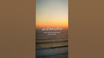 سورة الحجرات كاملة الآن ☝️ #قرآن #quran #quranismylife #قران_كريم #راحة_نفسية #تلاوة_القرآن_الكريم