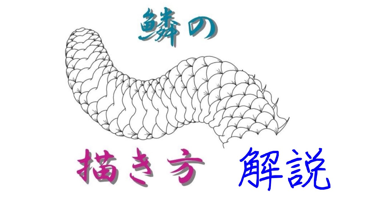 鱗の描き方解説（手順） - YouTube