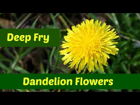 Dandelion Flowers: Three Ways to Deep Fry Dandelion Flowers