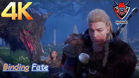 Binding Fate - Assassin