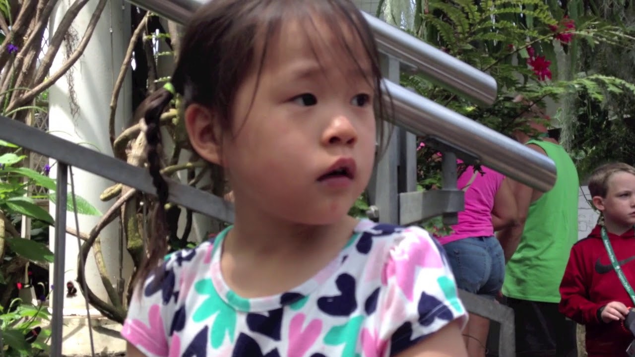 Niagara Falls Water Weekend June 2016