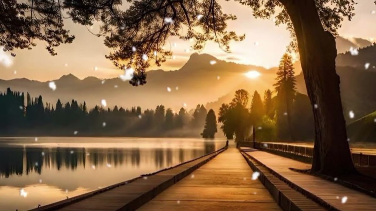 TOTALMENTE EM TUAS MÃOS #music #louvor #gratidão #deus #viral 