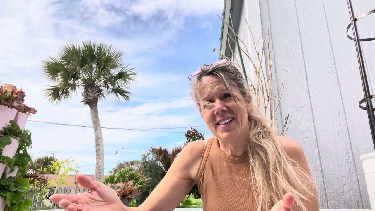 Strawberry Jam (low sugar or no sugar) Taco Lasagna & Florida Freeze…garden clean up